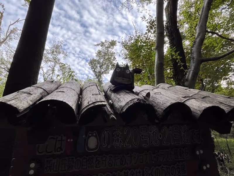 Saitama Private Tour - Totoro on the roof of the signboard