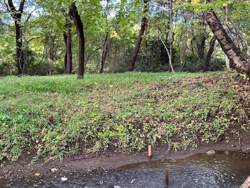 Saitama Private Tour - View, Sayama Hill