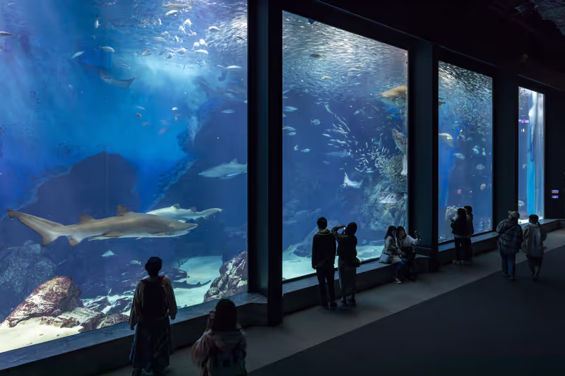 Fukuoka Private Tour - Aquarium