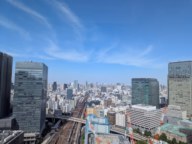 Tokyo Private Tour - Tokyo station tracks from above