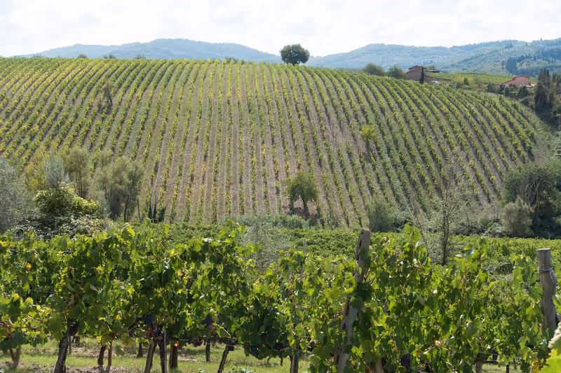 Florence Private Tour - Chianti rolling hills