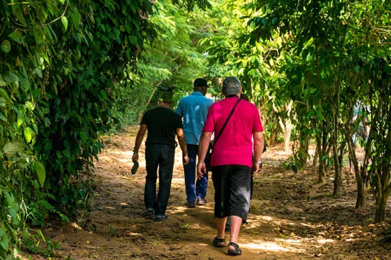 Zanzibar Private Tour - Exploring Zanzibar Spices