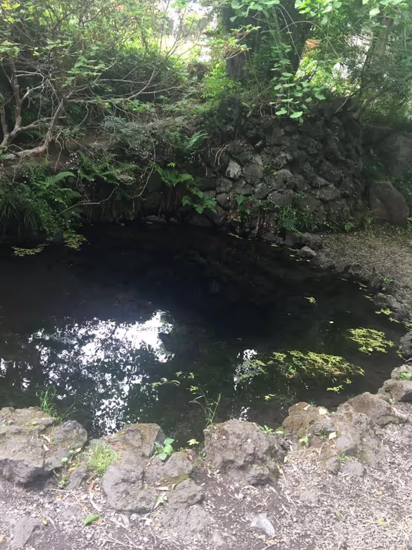 Mount Fuji Private Tour - A pure spring pond