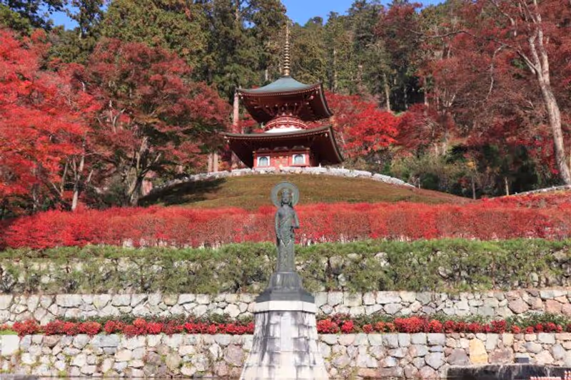 Osaka Private Tour - 