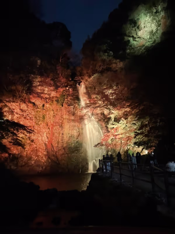 Osaka Private Tour - The color changes in a few minutes