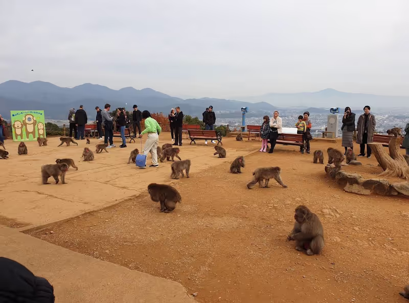 Kyoto Private Tour - MONKEYS