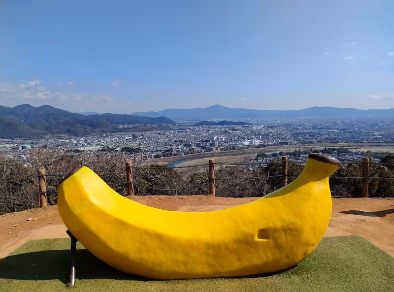 Kyoto Private Tour - Let’s take a picture here !!