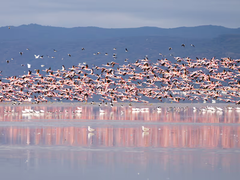 Kilimanjaro Private Tour - 