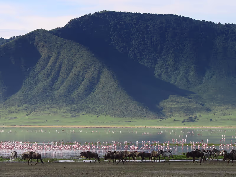 Arusha Private Tour - 