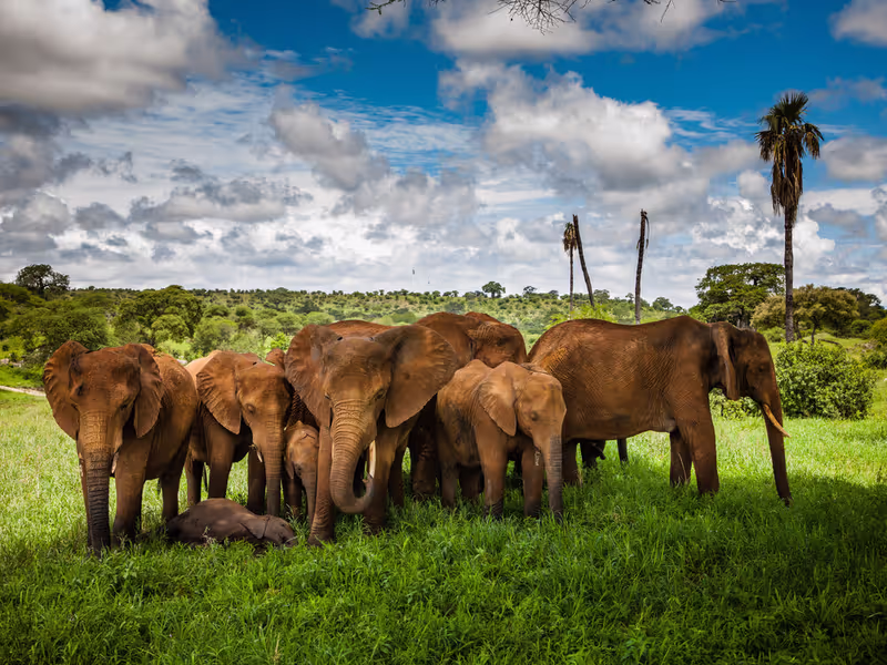 Kilimanjaro Private Tour - 