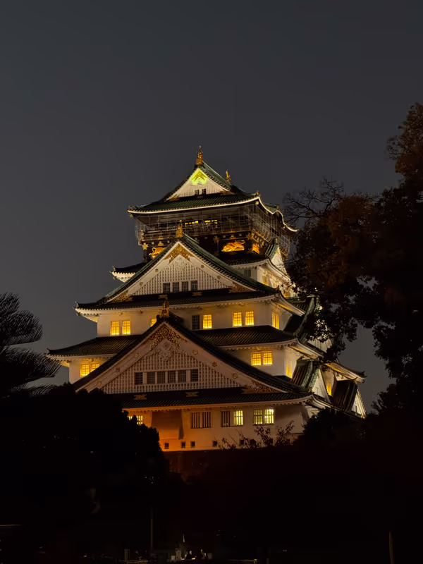 Osaka Private Tour - At night