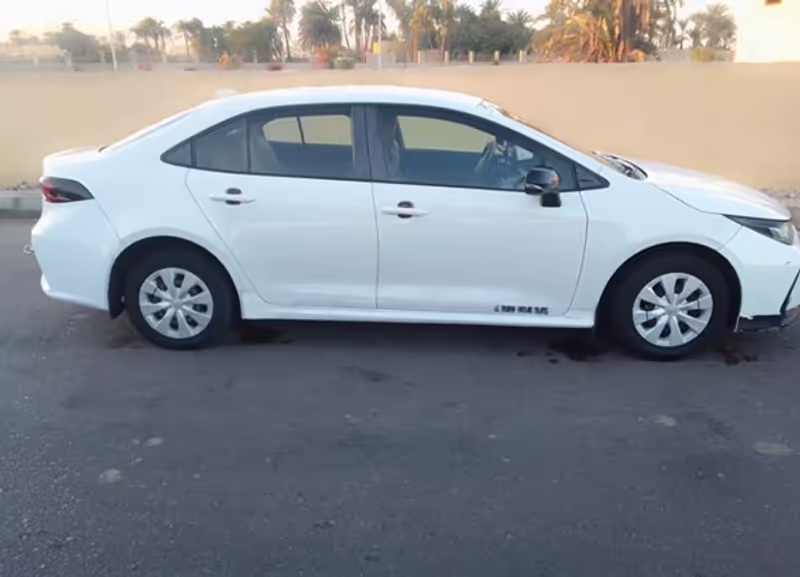 Luxor Private Tour - tourists sedan Toyota Corolla