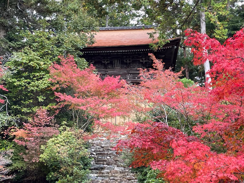 Kyoto Private Tour - Jingoji temple