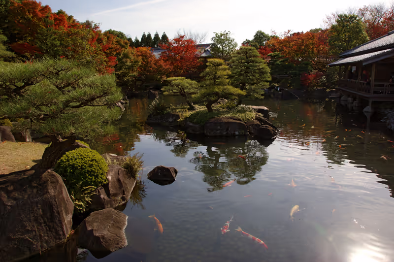 Himeji Private Tour - 