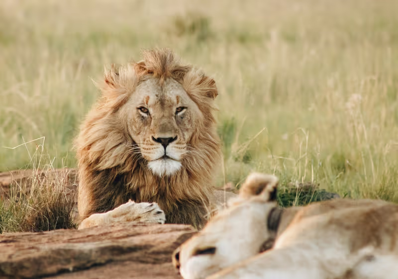 Himeji Private Tour - 