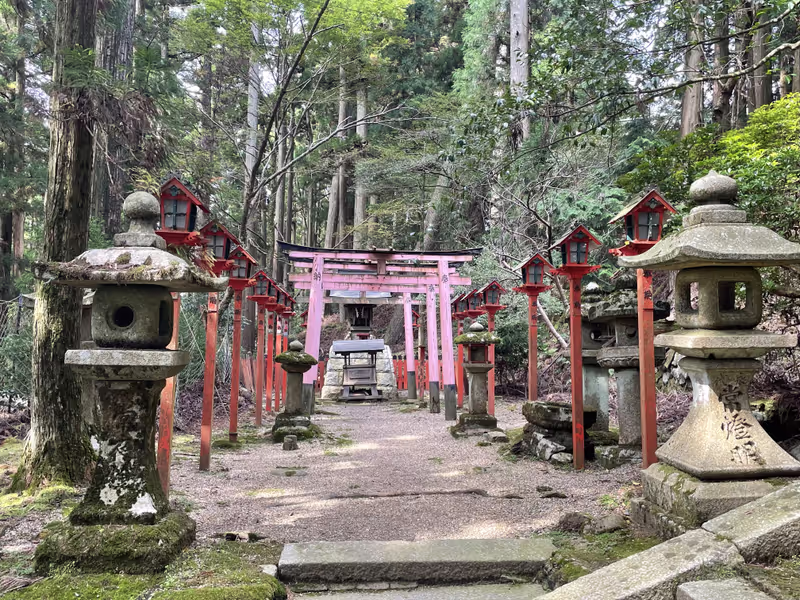 Kyoto Private Tour - Atago shrine - Torii gates and lanterns