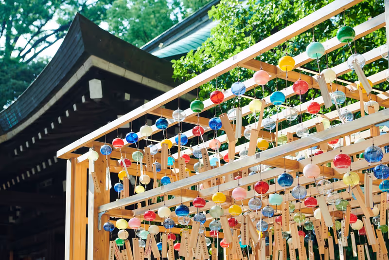 Tokyo Private Tour - Hikawa Shrine