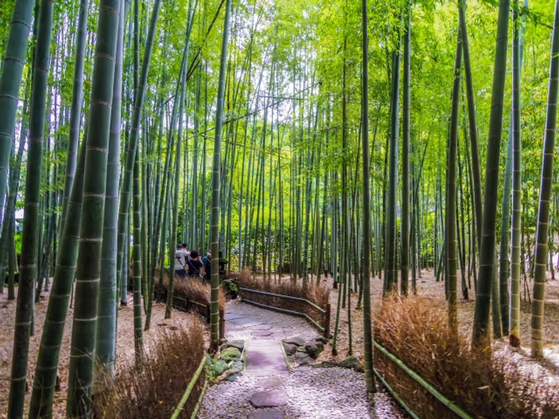 Kamakura Private Tour - Hokokuji Temple