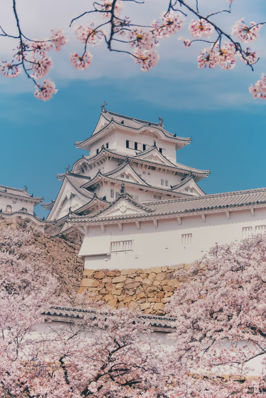 Himeji Private Tour - 