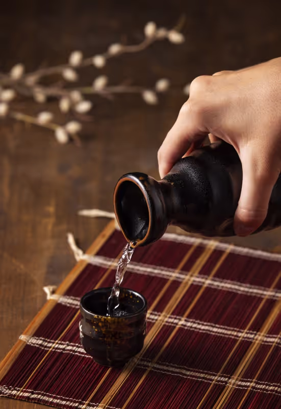 Himeji Private Tour - 