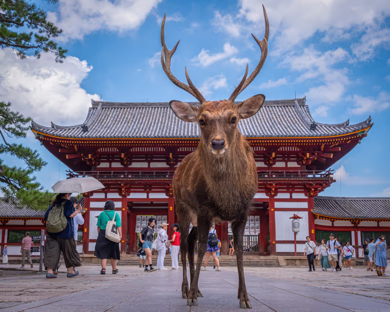 Osaka Private Tour - 