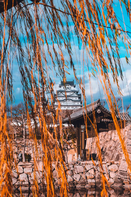 Himeji Private Tour - 