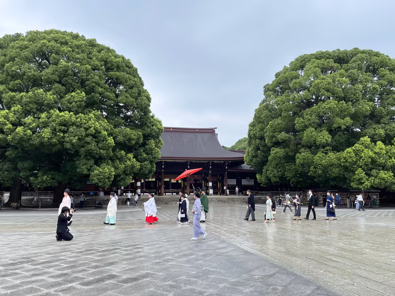 Tokyo Private Tour - Meiji Jingu Shrine