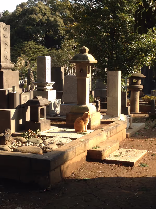 Tokyo Private Tour - Yanaka cemetary
