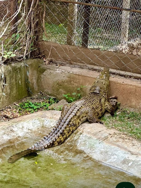 Nairobi Private Tour - 