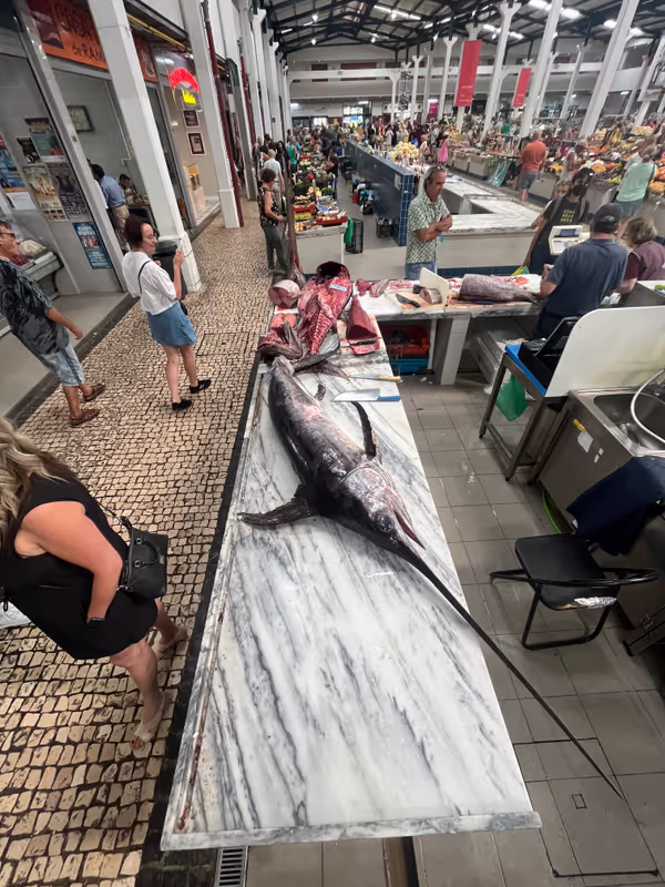 Lisbon Private Tour - Big Marlin fished at our Coast