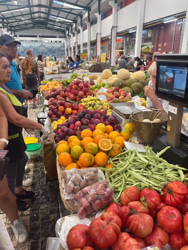Lisbon Private Tour - We are very Proud of our Oranges