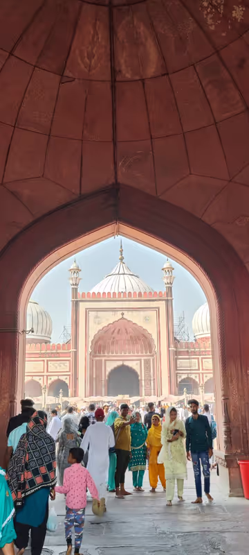 Delhi Private Tour - Gateway of Jama Mosque