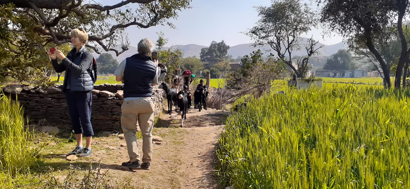 Udaipur Private Tour - 