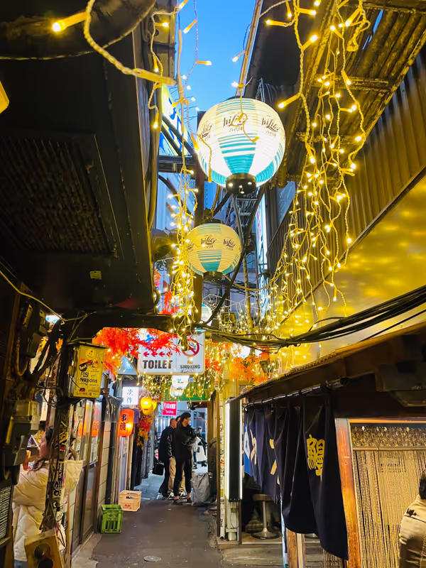 Tokyo Private Tour - 