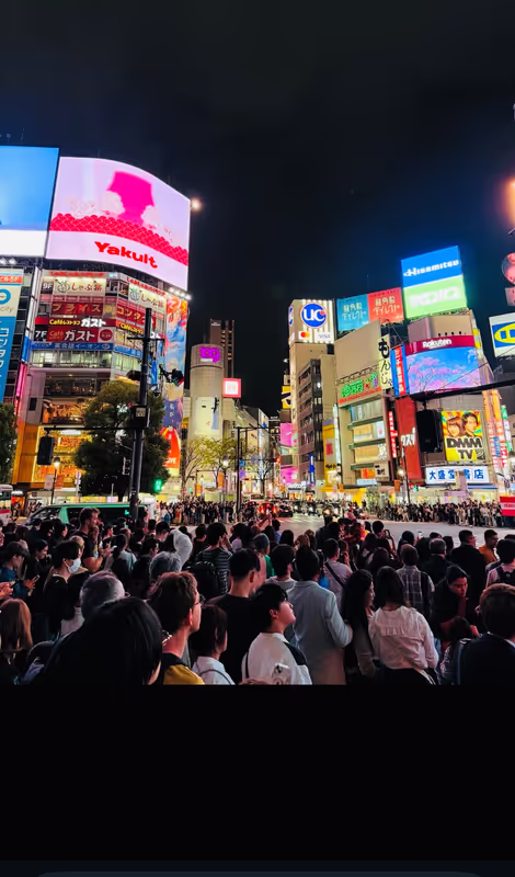 Tokyo Private Tour - 