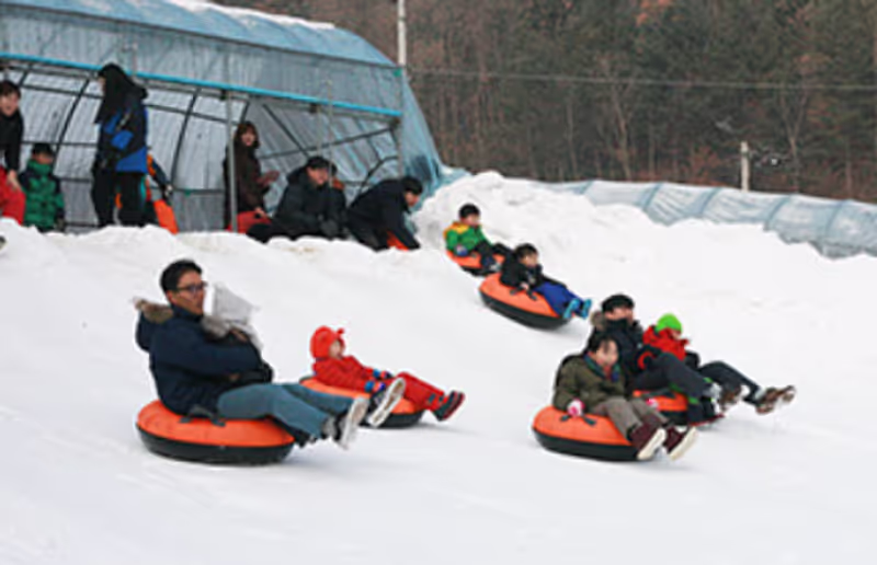 South Chungcheong Private Tour - 