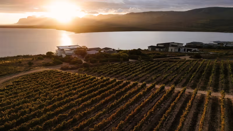 Cape Town Private Tour - 