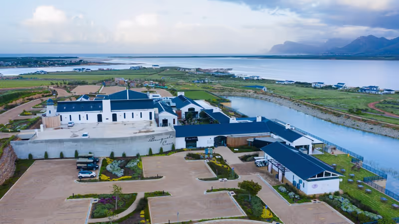 Cape Town Private Tour - 