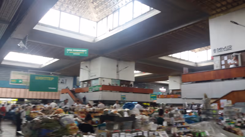 Almaty Private Tour - 