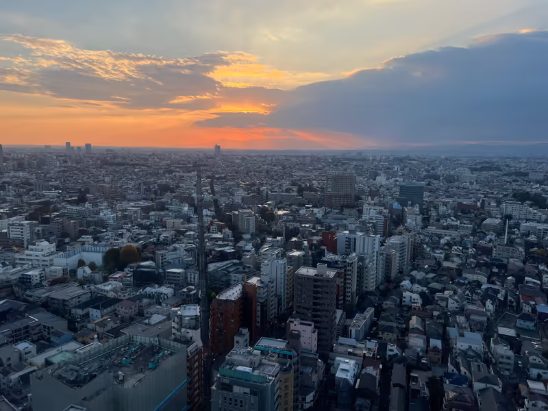 Tokyo Private Tour - 