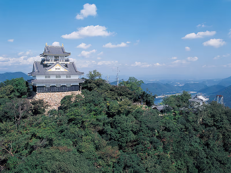 Gifu Private Tour - 