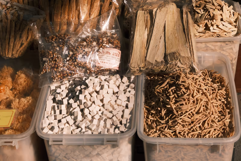 Guangzhou Private Tour - Guangzhou Qingping Herbal Market