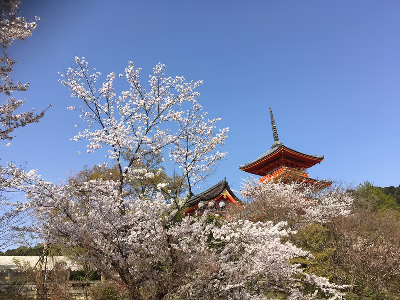 Kyoto Private Tour - Kiyomizu-dera Buddhist Temple