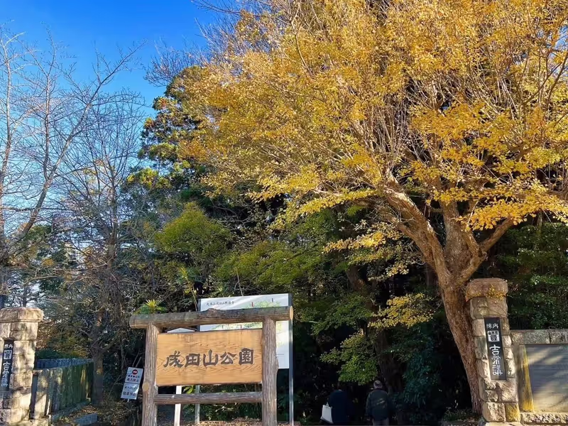 Narita Private Tour - 