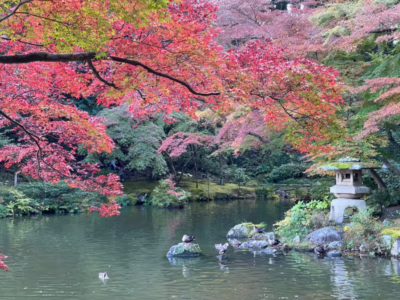 Narita Private Tour - 