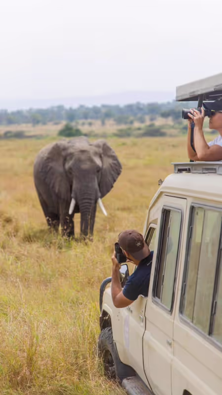 Arusha Private Tour - game vie Tarangire