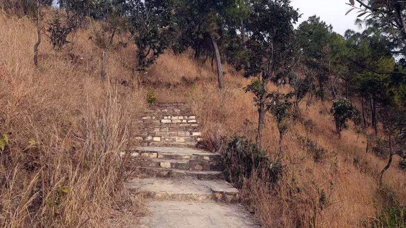 Kathmandu Private Tour - Stairs to the top