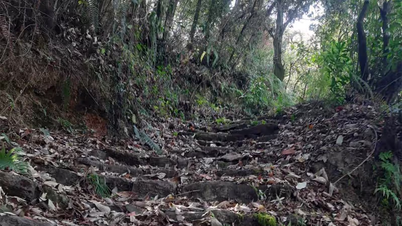 Kathmandu Private Tour - Champadevi Hiking Trail