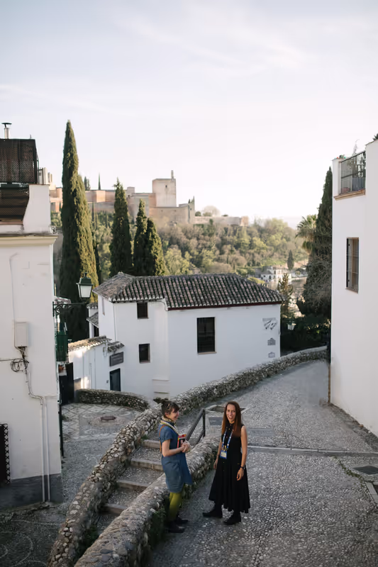 Granada Private Tour - Overview towards Alcazaba