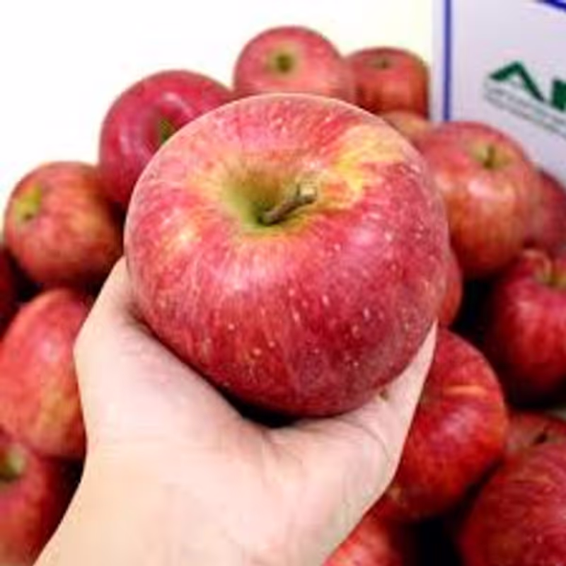 Yokohama Private Tour - Fuji Apple